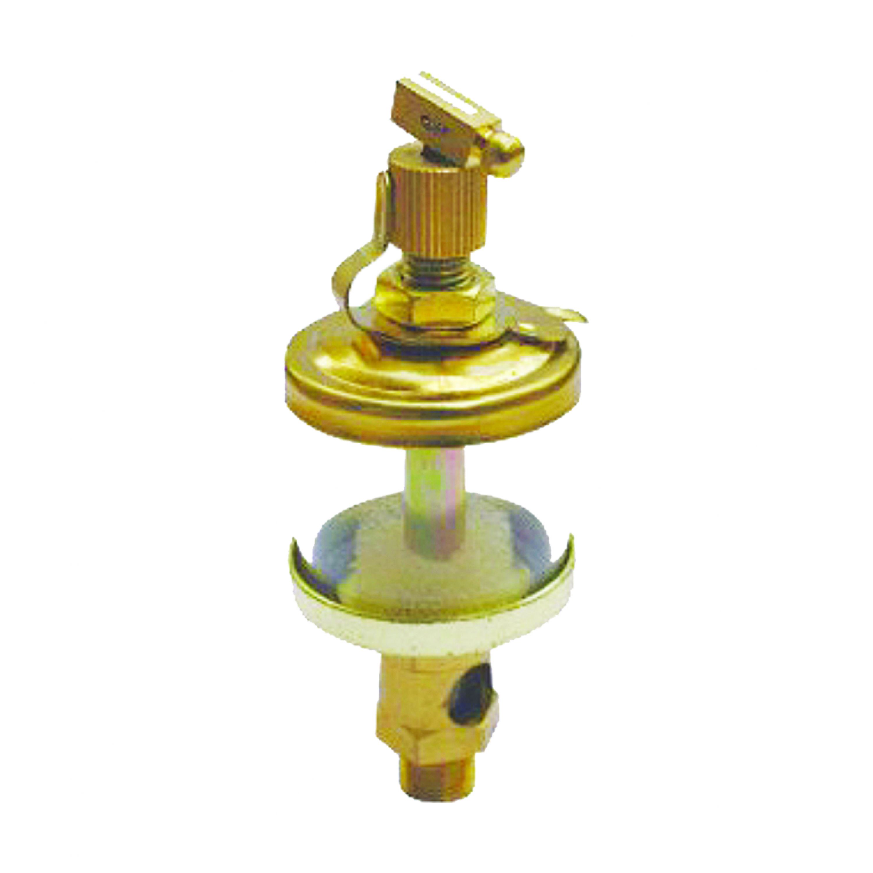 needle valve oil injection cup image